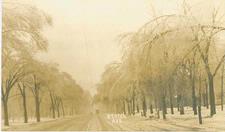  An undated Local History postcard of Benton Avenue during an ice storm. 