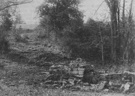 Land homesteaded by Thomas J. Stout in 1878 near Taneyville. The photo, made from a recently discovered glass negative, shows the walled-in spring and in the background the Stout home.