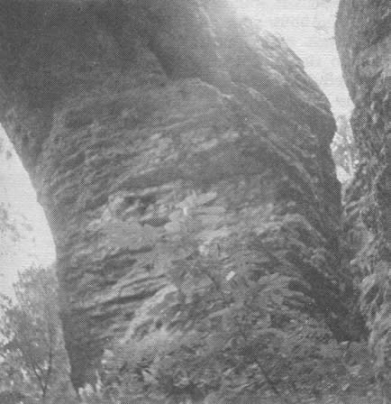 One span of the rock bridge and the limestone cliff at the back. Trees to the left are above the James, and give an idea of the height of the Arch.